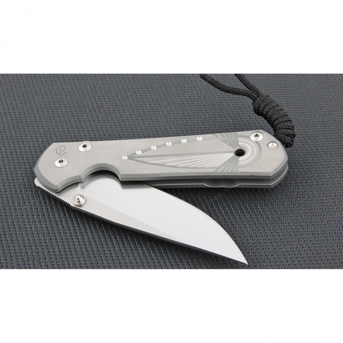 Нож складной Chris Reeve Large Sebenza 21 Unique Graphics In Reverse Silver Contrast, сталь CPM-S35VN, рукоять титан